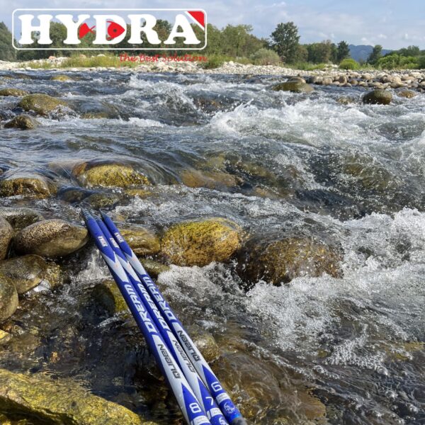 Canna bolognese Queen Dream LIGHT Action Hydra