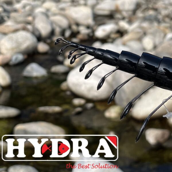 Canna bolognese Queen Dream MEDIUM Action Hydra - immagine 2