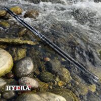 Canna bolognese Queen Dream MEDIUM Action Hydra