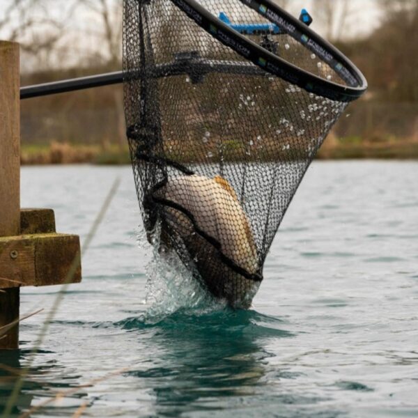 Testa guadino in lattice Carp XS PRESTON 20" (50cm) - immagine 5