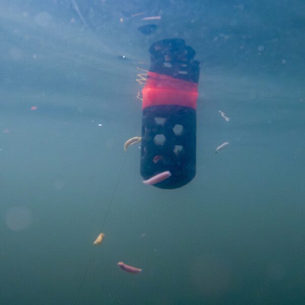 Floating Feeder KORUM - immagine 8
