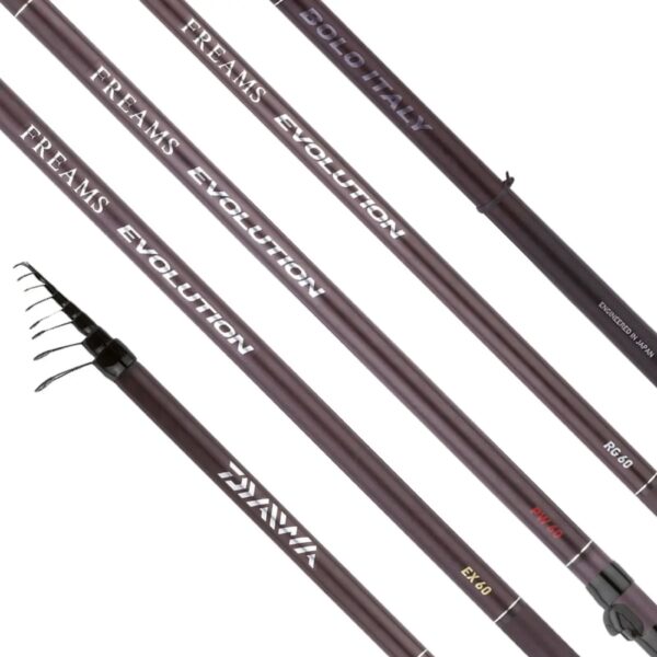 Canna bolognese 23 Freams Evolution 60 RG (regular) DAIWA 6mt - immagine 3