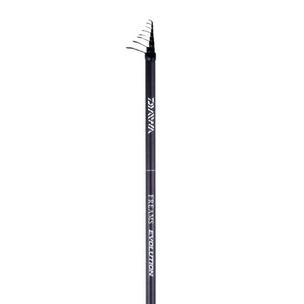 Canna bolognese 23 Freams Evolution 60 RG (regular) DAIWA 6mt