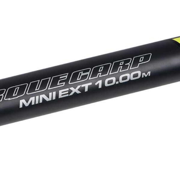 Pack Roubaisienne Torque Carp Power (10,0 mt)  MATRIX - immagine 3