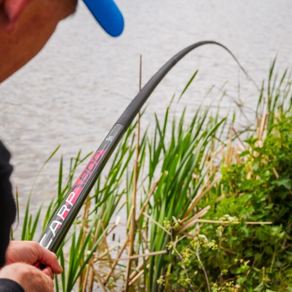 Mini Roubaisienne DURA CARP 800 PRESTON (8,00mt) - immagine 2