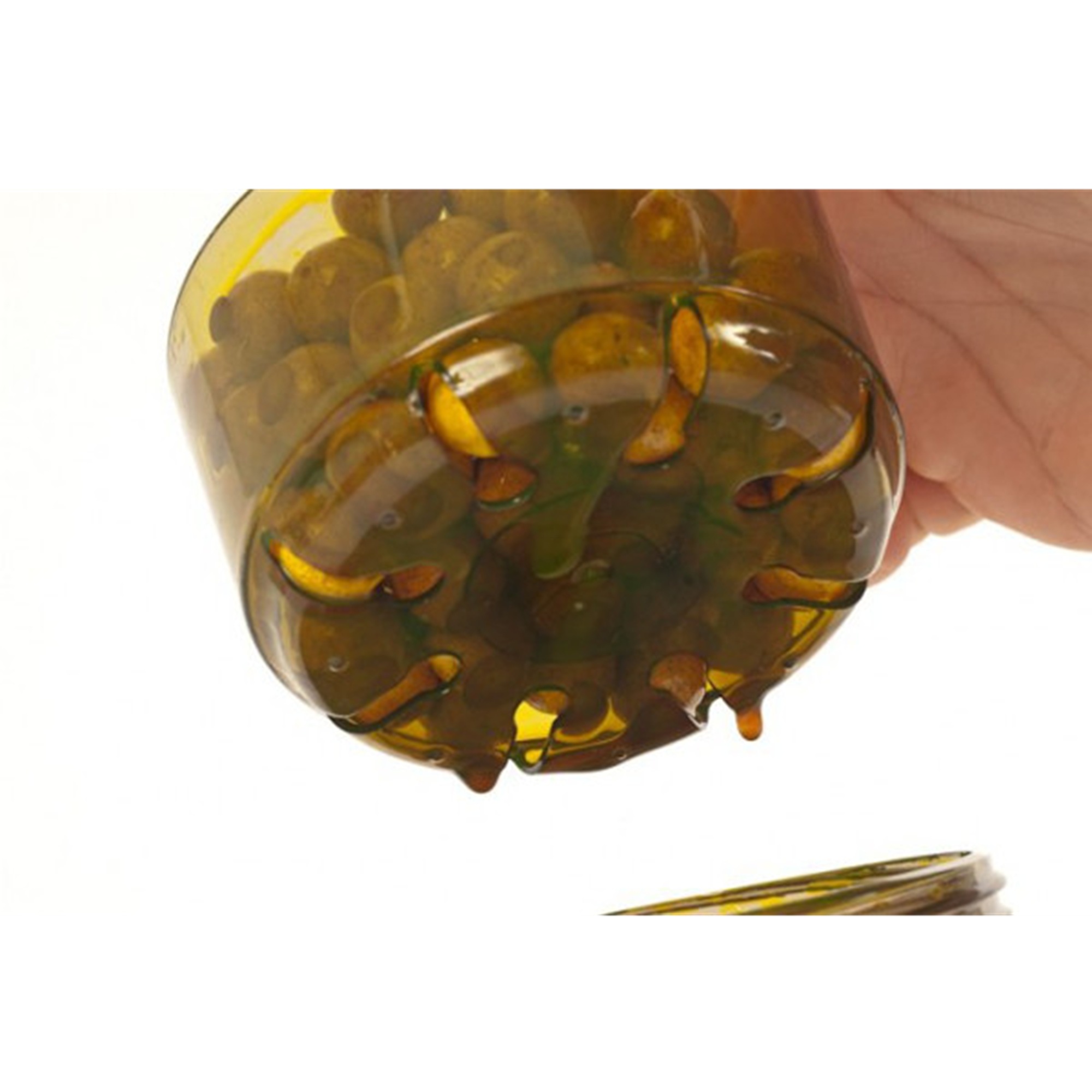 Infuza (small) KORDA - immagine 7