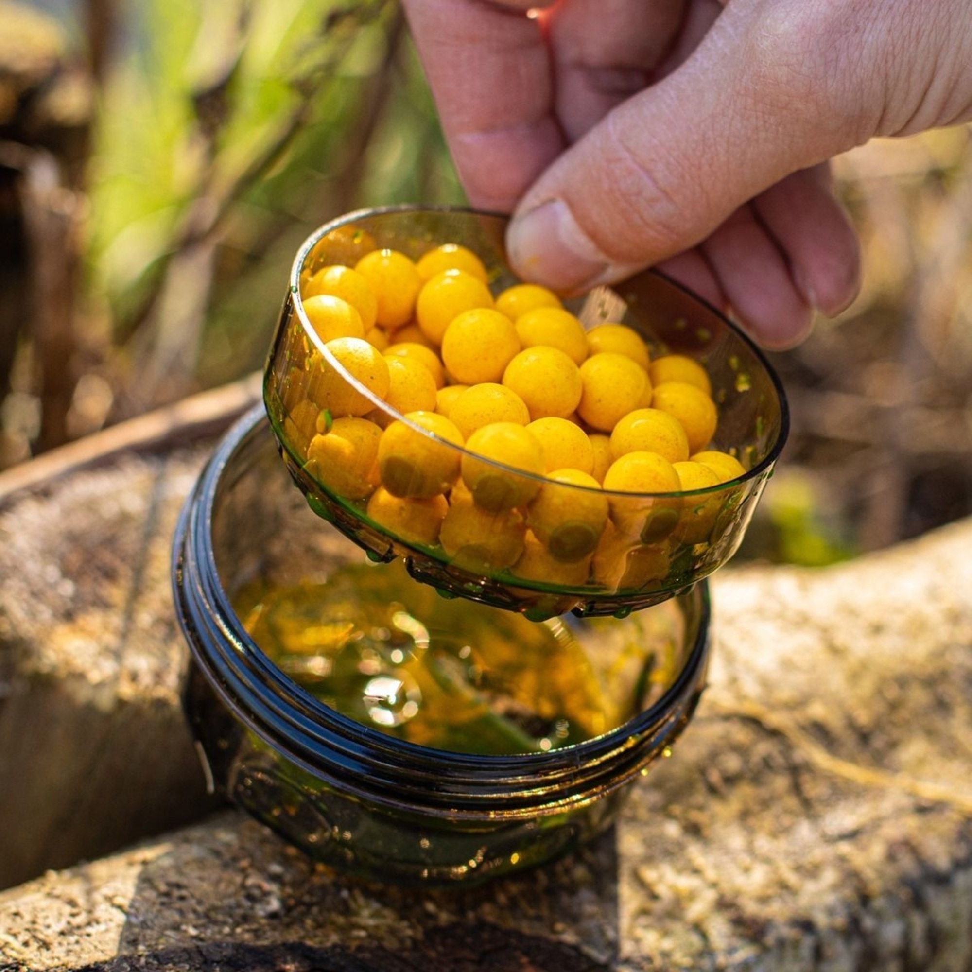 Infuza (small) KORDA - immagine 5